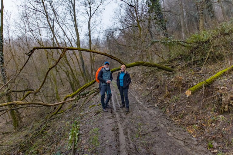 Izlet na Grebengrad kroz zagorske šume